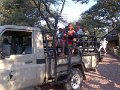 Ant's Den game drive